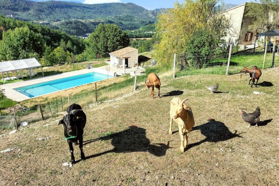 Photo of Others in Sisteron
