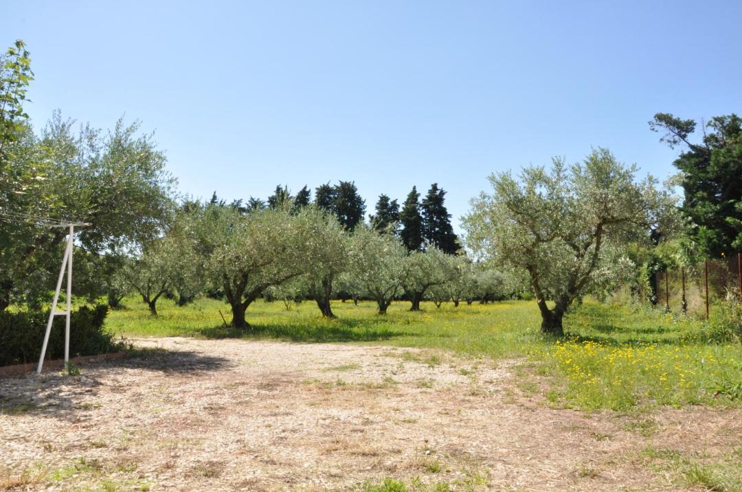 Photo of Others in Saint Pierre de Mezoargues