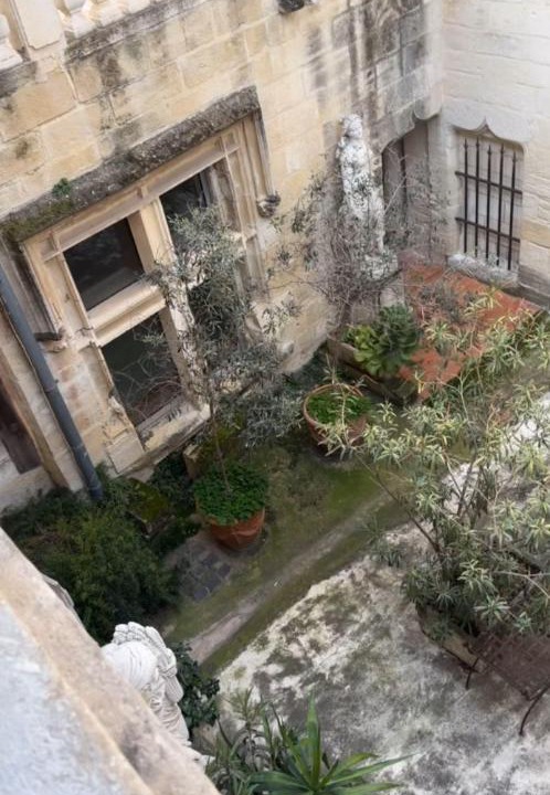 Photo of Others in Beaucaire