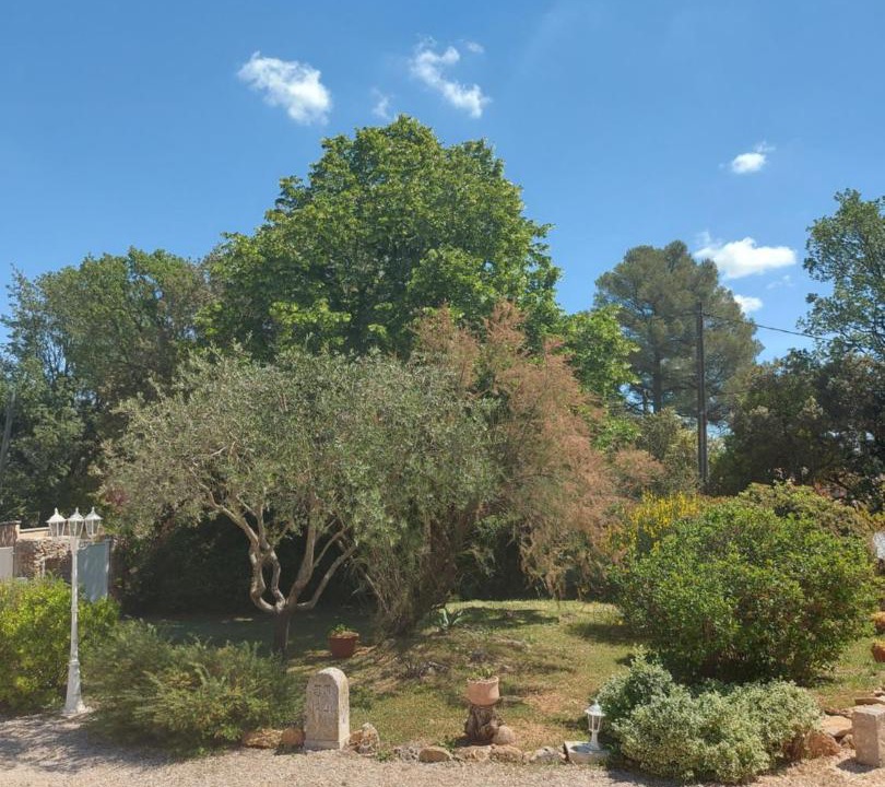 Photo of Others in Gareoult