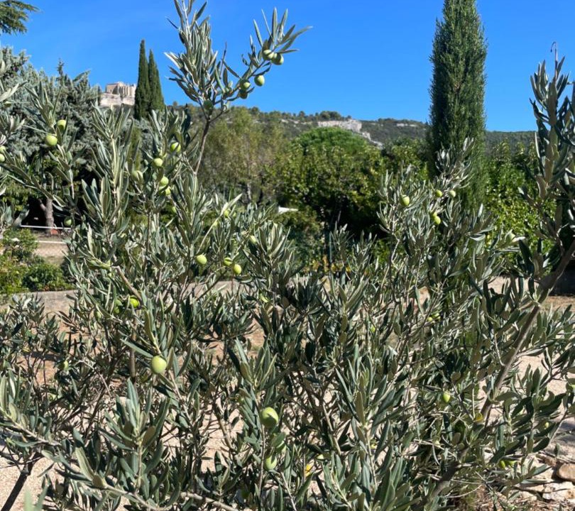 Photo of Others in Saint-Saturnin-les-Apt
