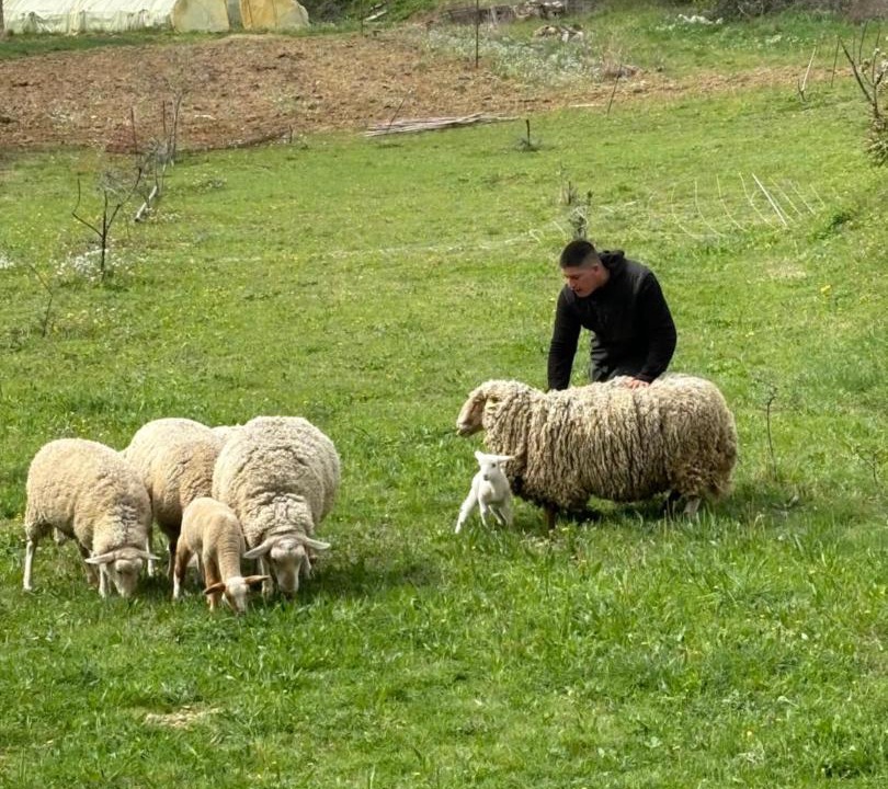 Photo of Others in Cadenet