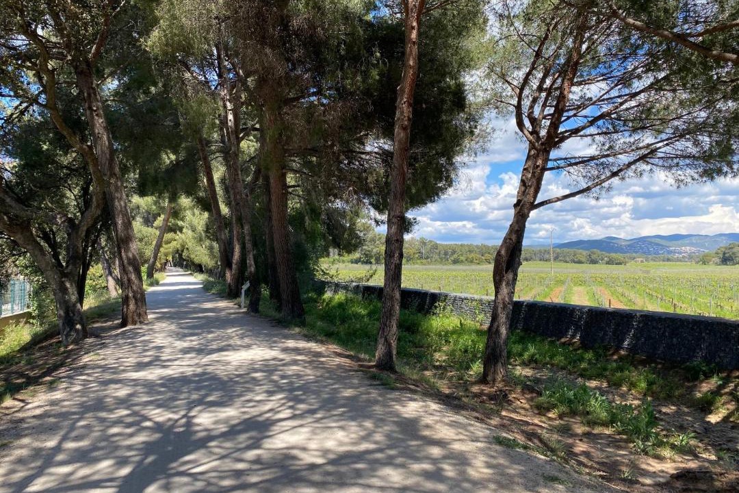 Photo of Others in La Londe-les-Maures