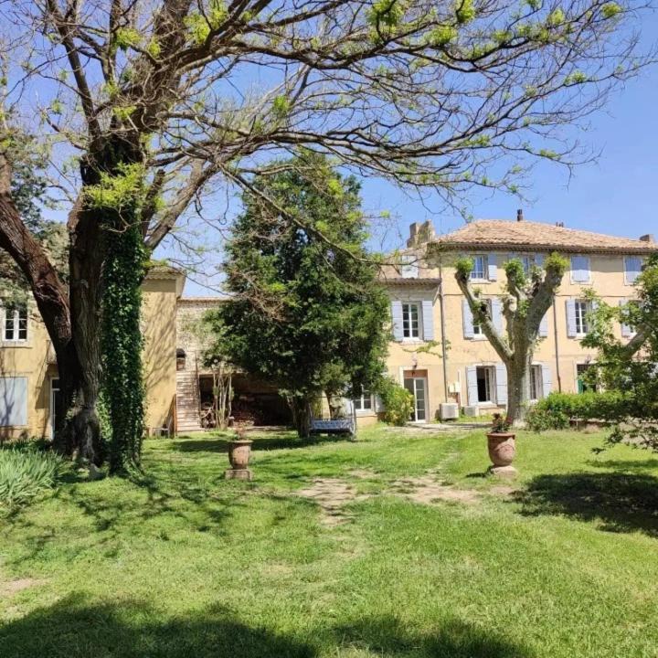 Photo of Others in Roquemaure