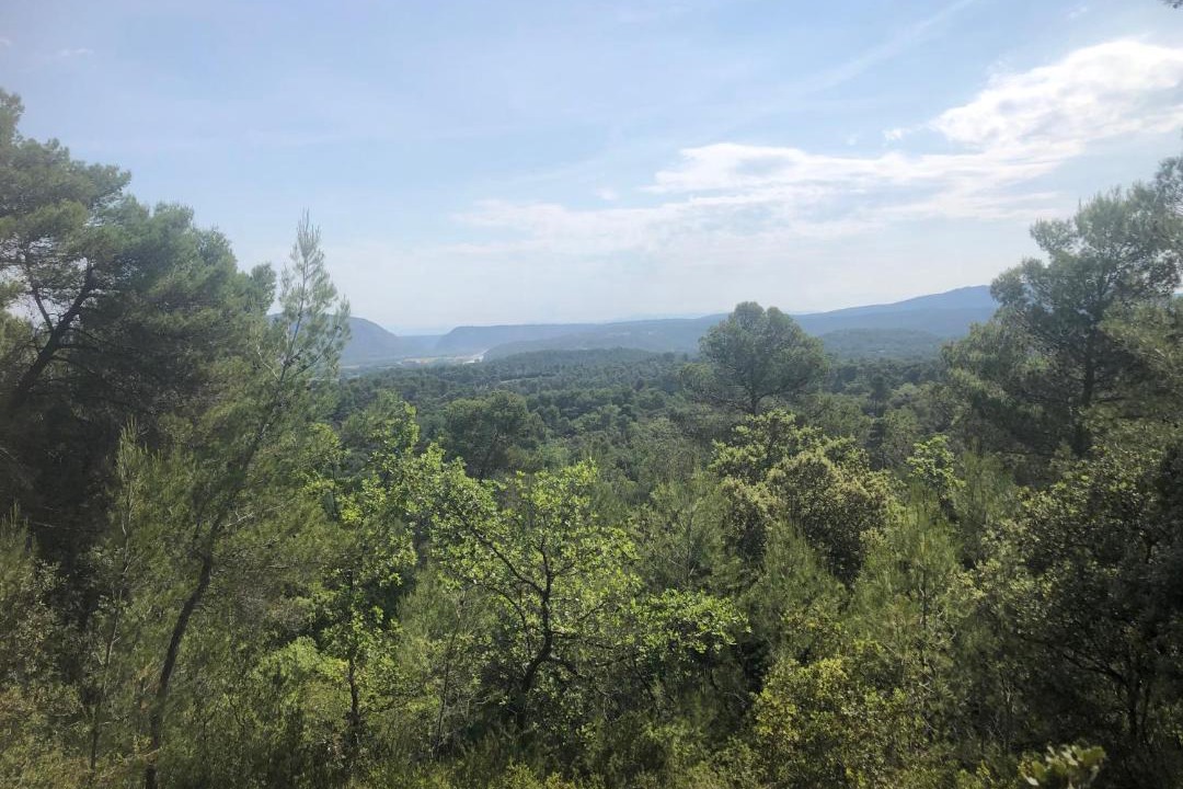 Photo of Others in Peyrolles-en-Provence