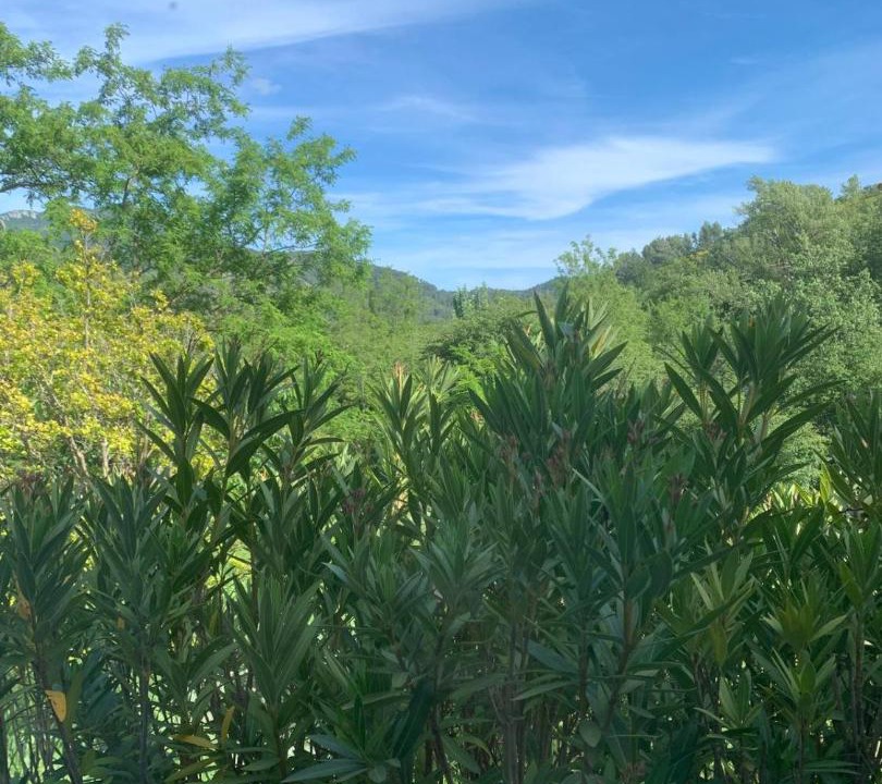 Photo of Outdoor in Buis-les-Baronnies