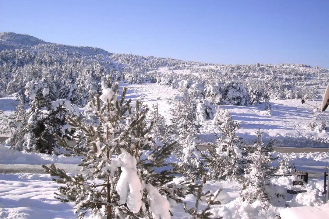 Photo of Others in Greolieres les Neiges