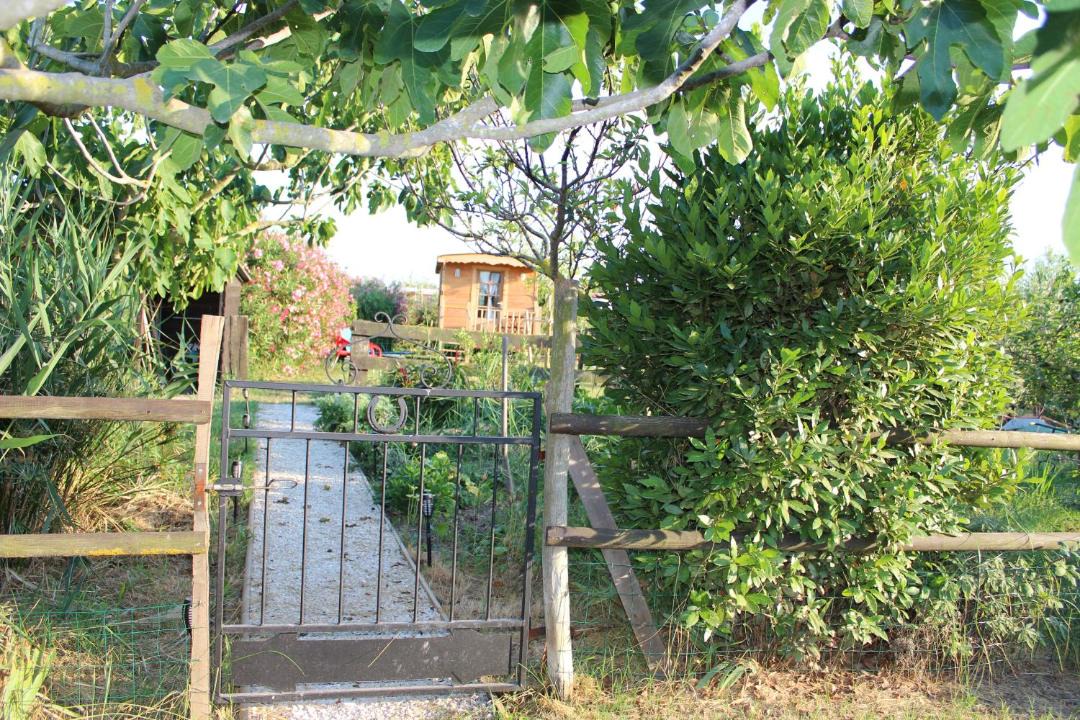Photo of Others in Saintes-Maries-de-la-Mer