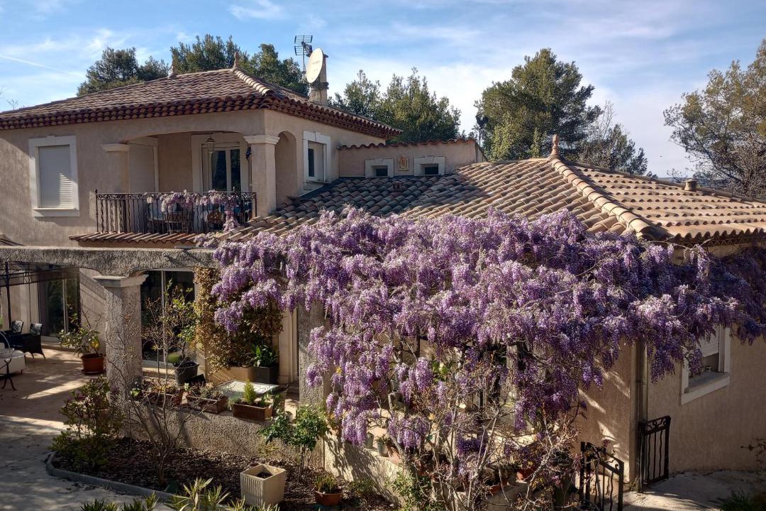 Photo of Others in La Roque-d'Antheron