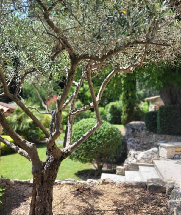 Photo of Others in Cheval-Blanc