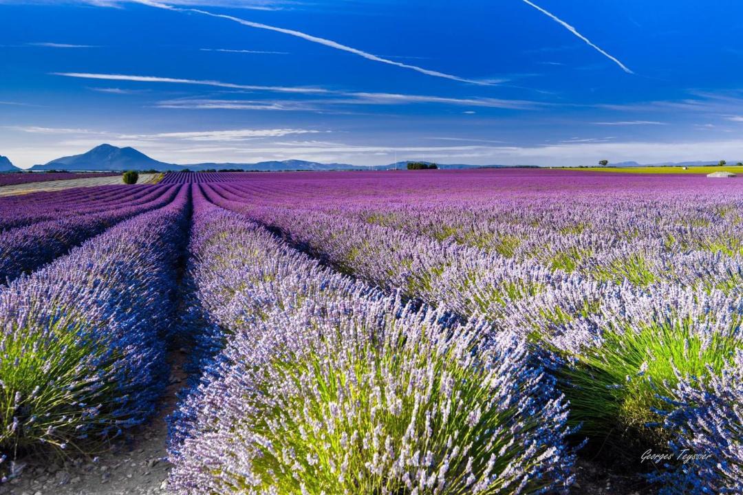 Photo of Others in Montagnac-Montpezat