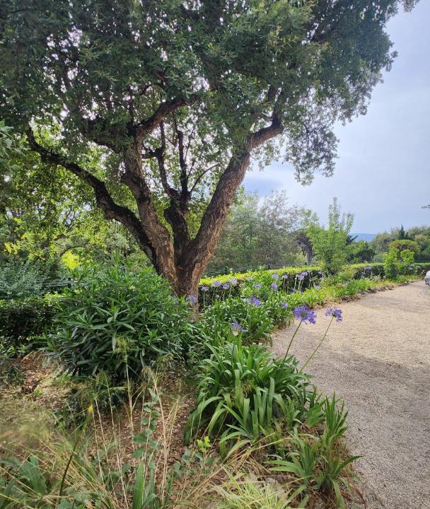 Photo of Others in Cote d'Azur- French Riviera