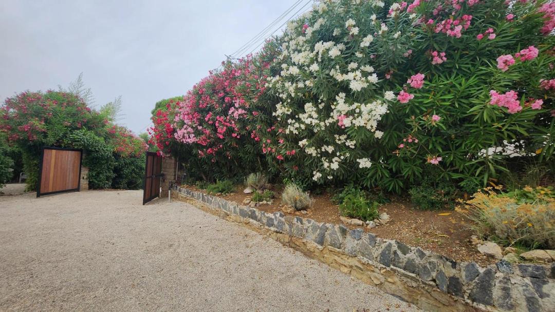 Photo of Others in Cote d'Azur- French Riviera