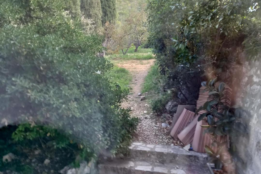 Photo of Others in La Panouse