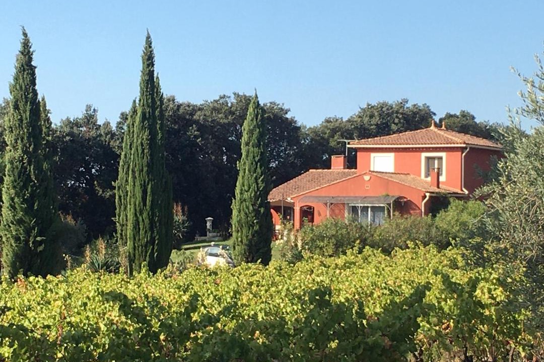 Photo of Others in Morieres-les-Avignon