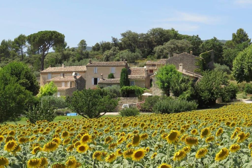 Photo of Others in Lourmarin