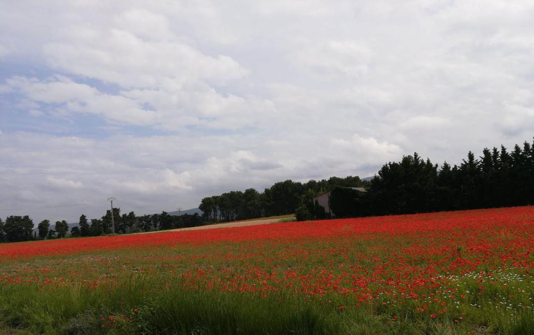 Photo of Outdoor in Gargas