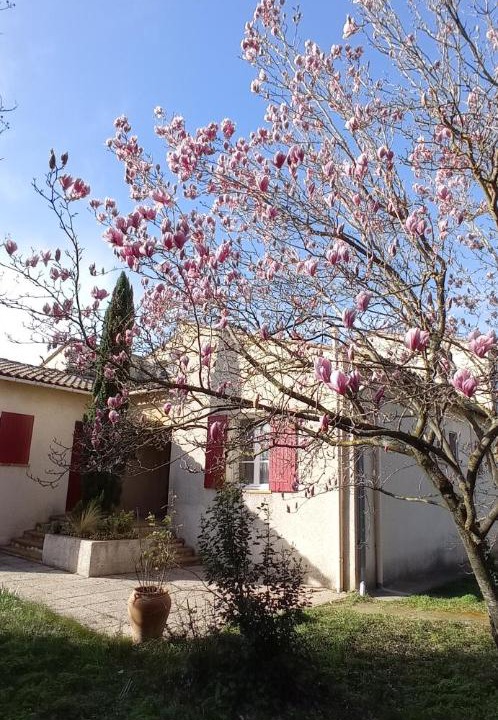 Photo of Others in Beaucaire