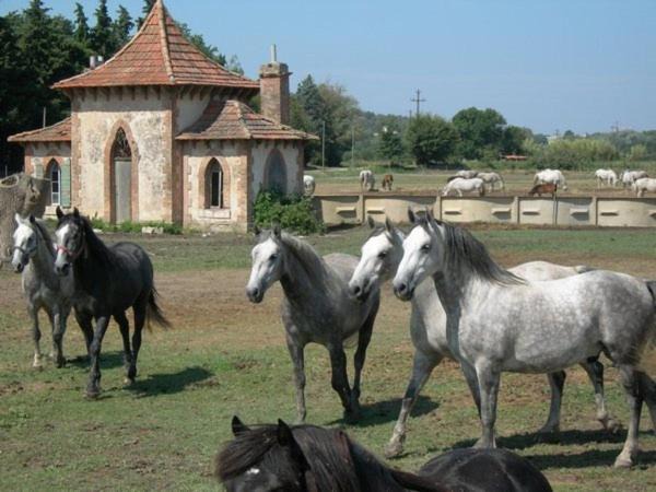Photo of Others in La Roque-d'Antheron