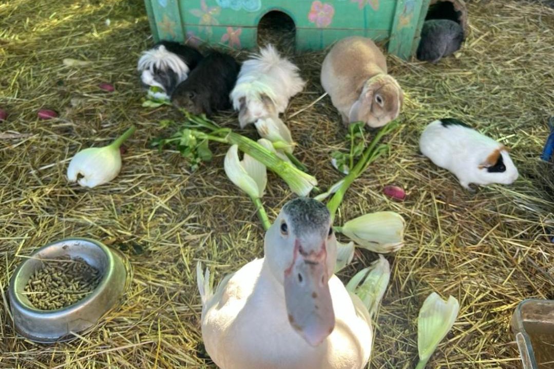 Photo of Others in Jouques