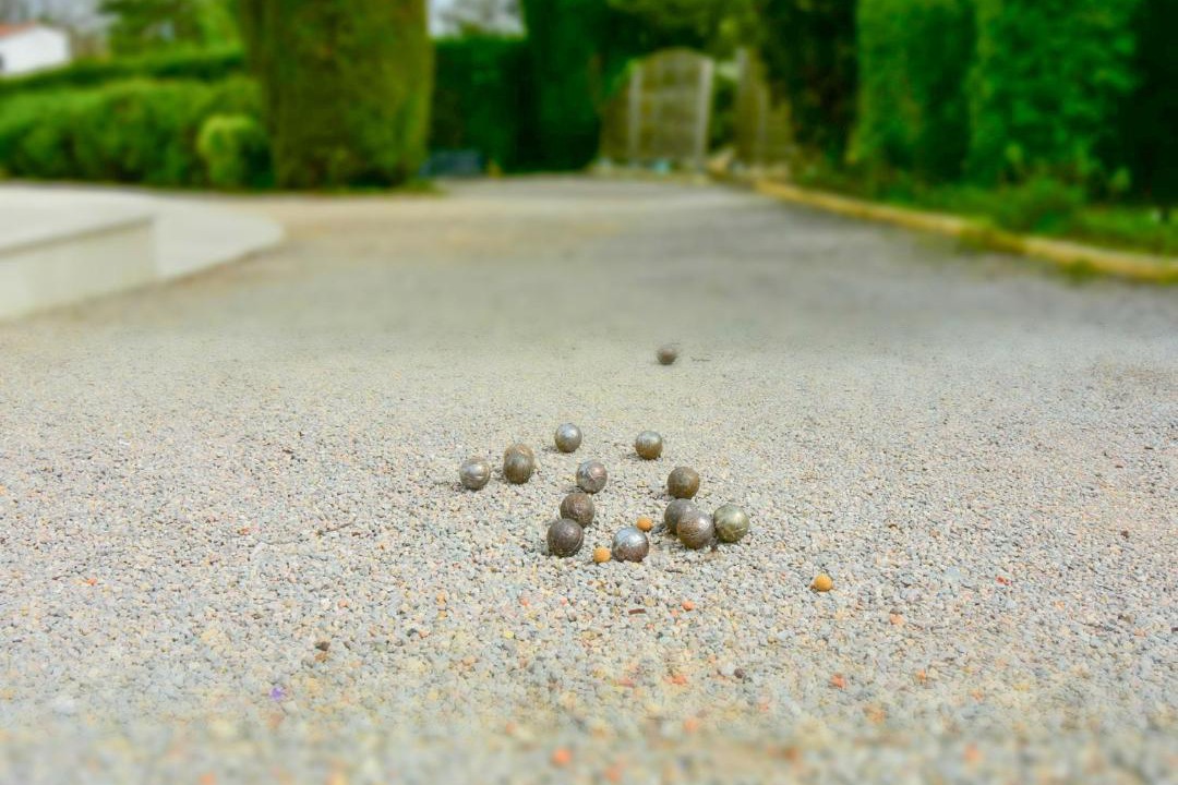 Photo of Others in Saint-Paul-en-Foret