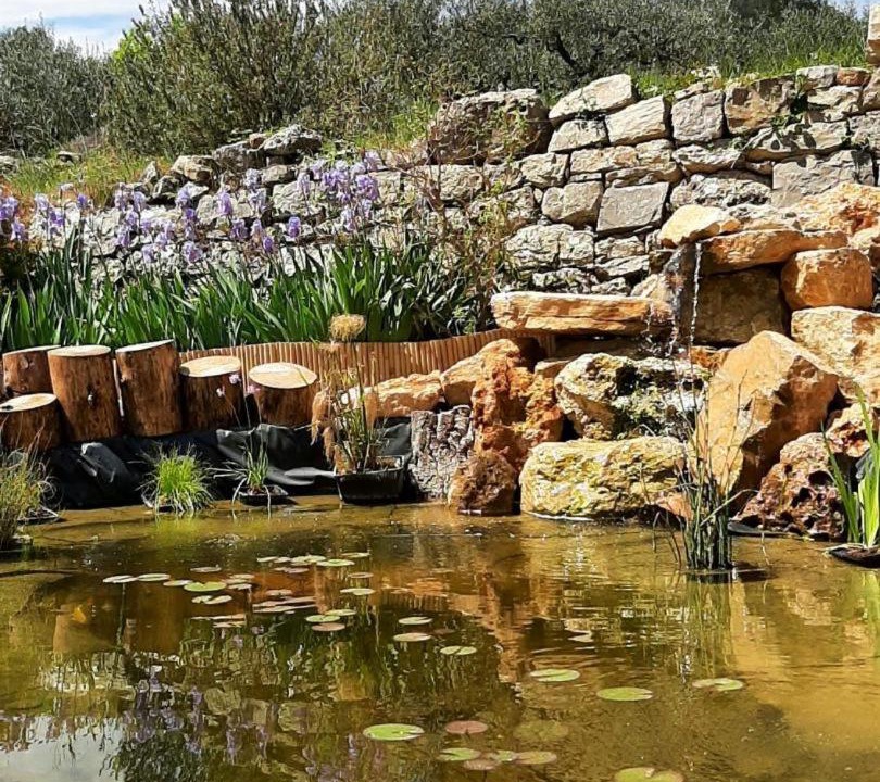 Photo of Others in Trans-en-Provence