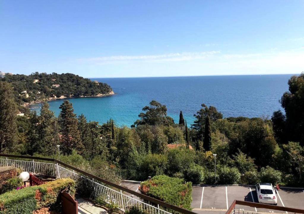 Photo of Others in Rayol-Canadel-sur-Mer