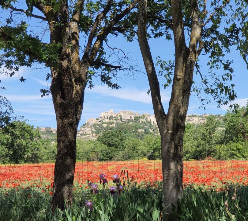 Photo of Others in Gordes