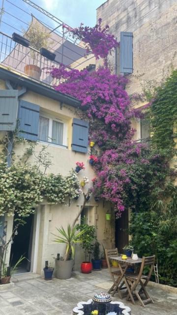 Photo of Others in Beaucaire