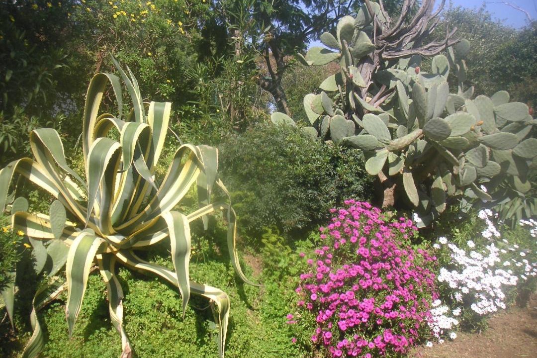 Photo of Outdoor in Cavaliere