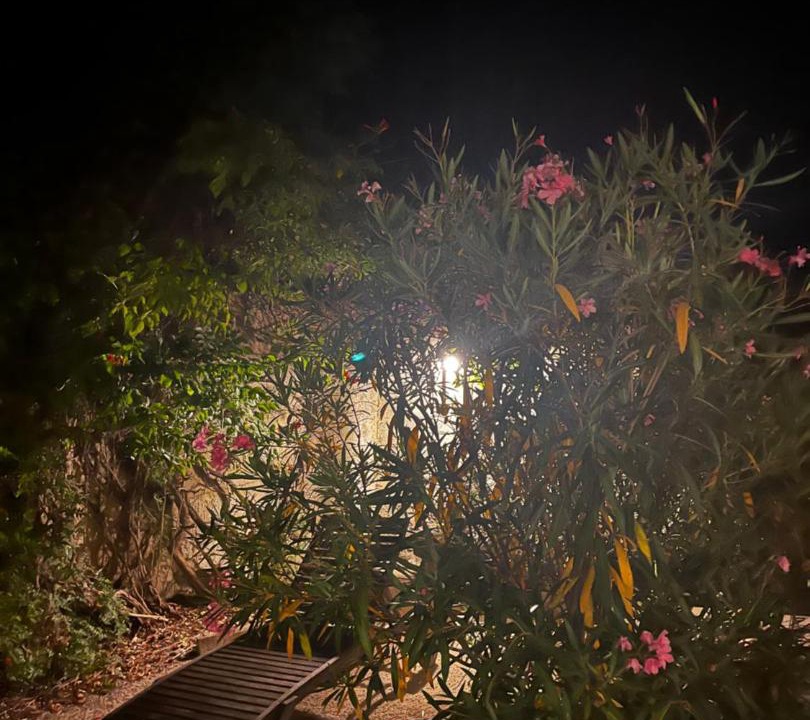 Photo of Others in Entraigues-sur-la-Sorgue
