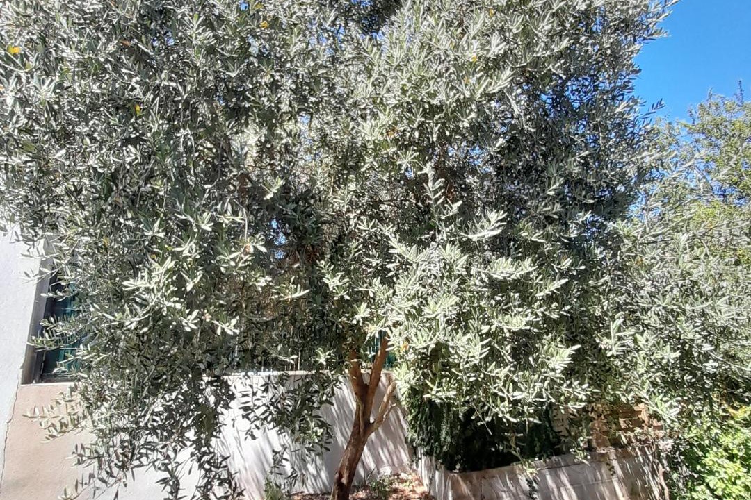 Photo of Outdoor in Les Censies