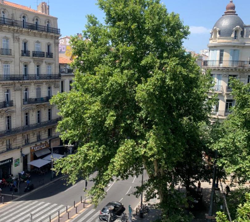 Photo of Buildings in Thiers