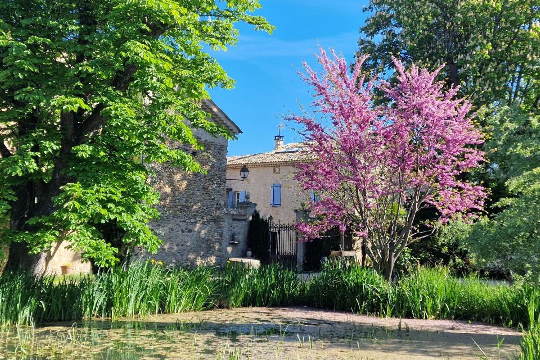 Photo of Outdoor in Valensole