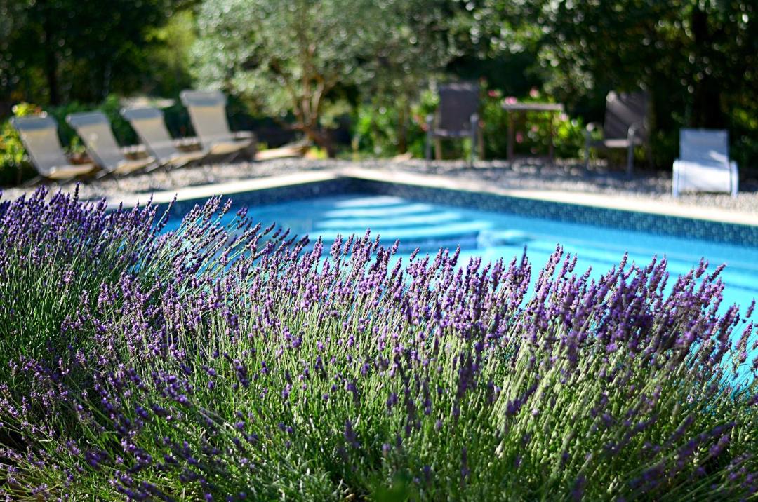 Photo of Outdoor in Entrecasteaux