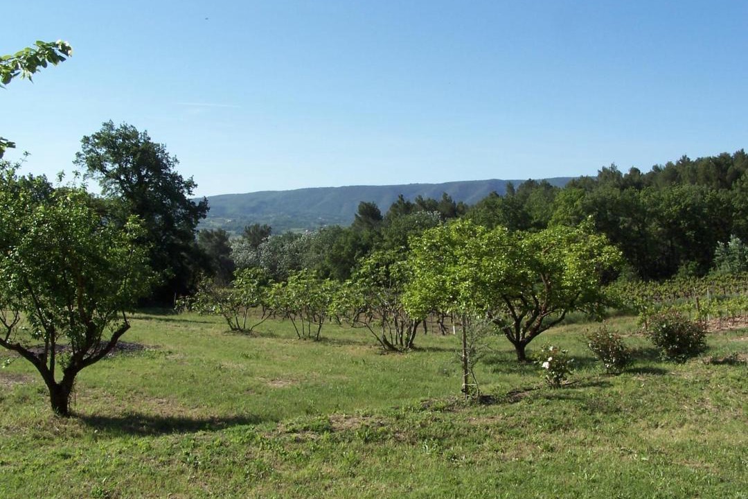 Photo of Outdoor in Goult