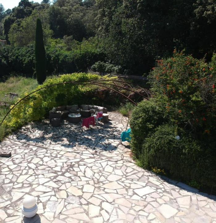 Photo of Others in Saint-Maximin-la-Sainte-Baume