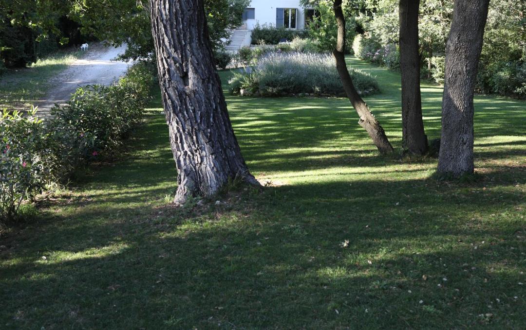 Photo of Outdoor in Saint-Cannat