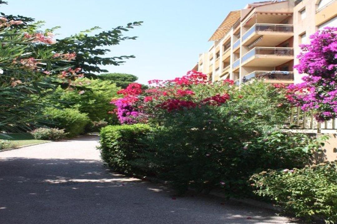Photo of Others in Toulon - Hyeres