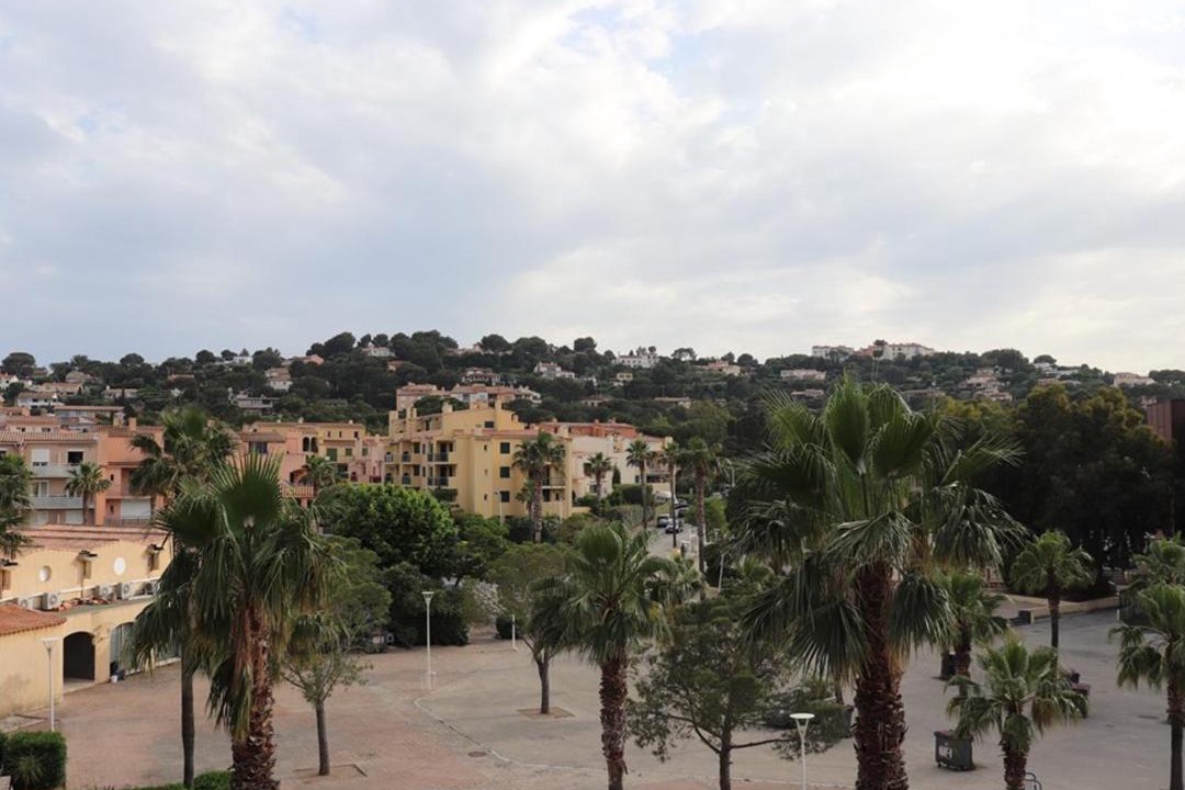 Photo of Others in Cavaliere