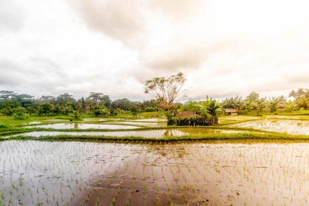 Photo of Outdoor in Melayang