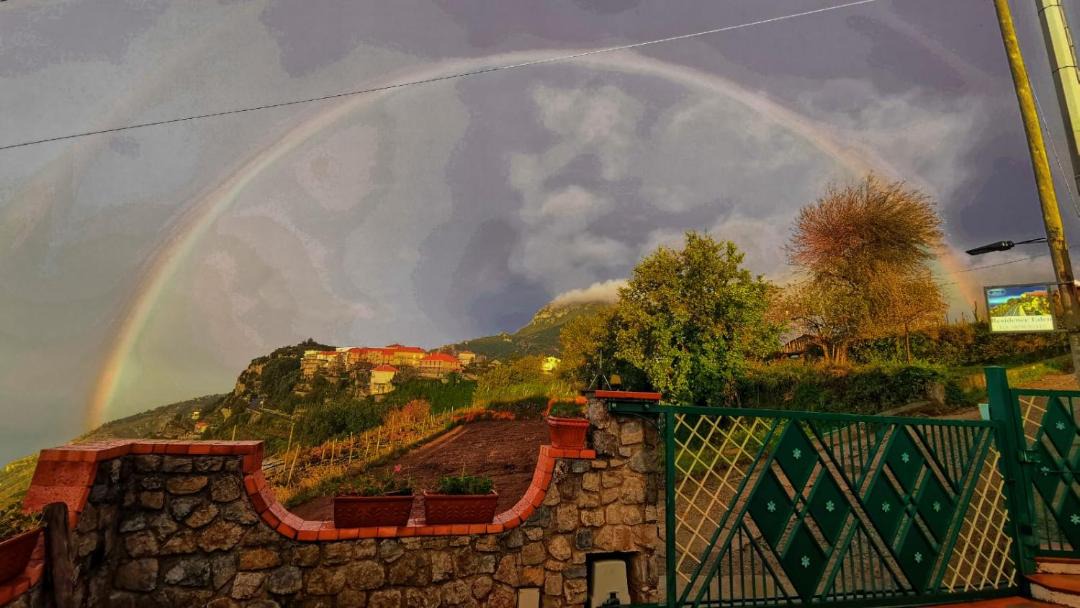 Photo of Others in San Michele