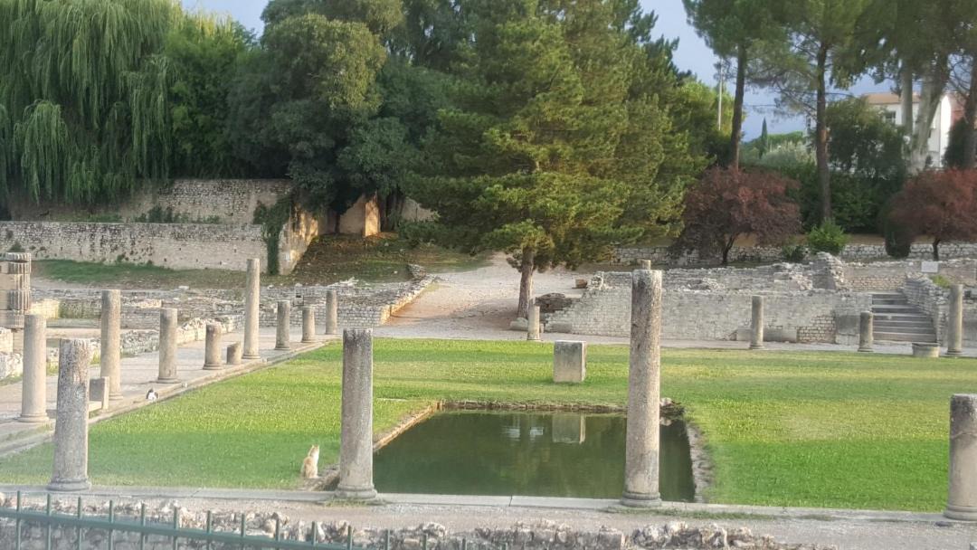 Photo of Others in Vaison-la-Romaine