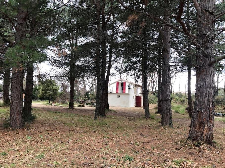 Photo of Buildings in Caromb