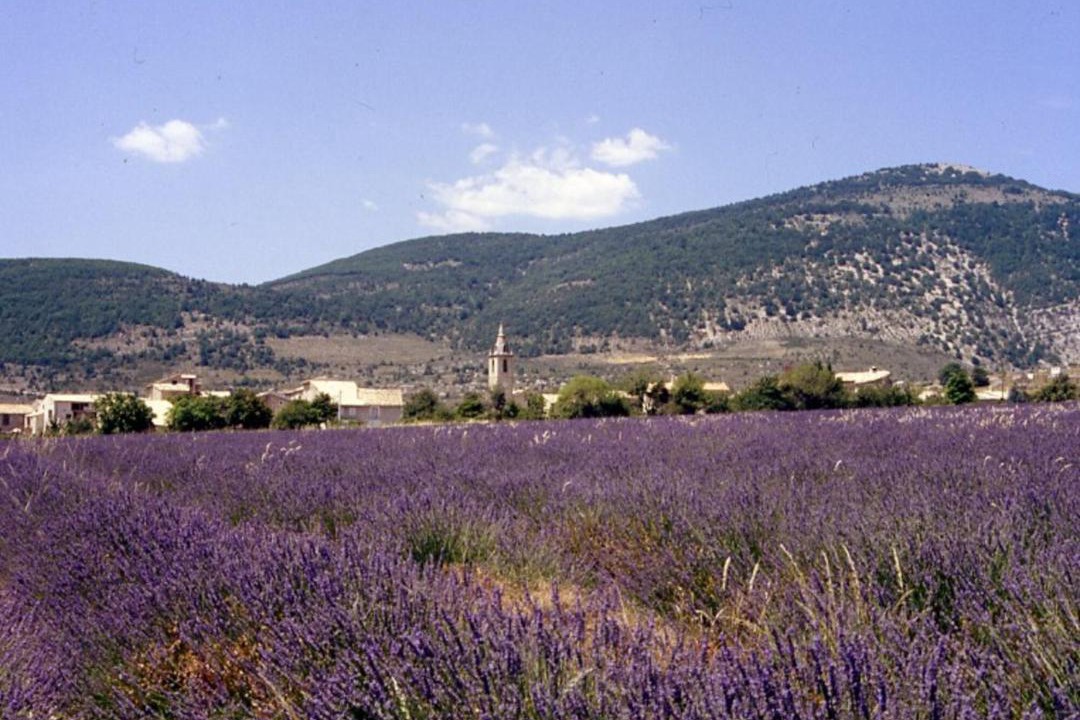 Photo of Others in Pierrerue