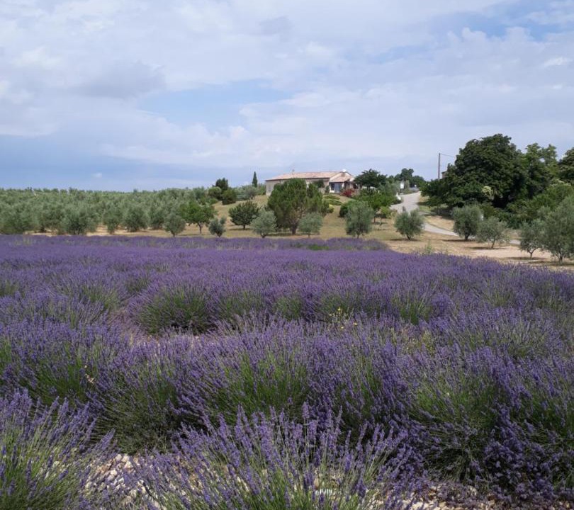 Photo of Others in Baudinard-sur-Verdon