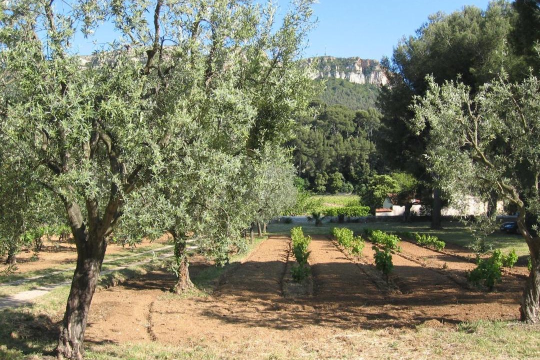 Photo of Outdoor in Cassis