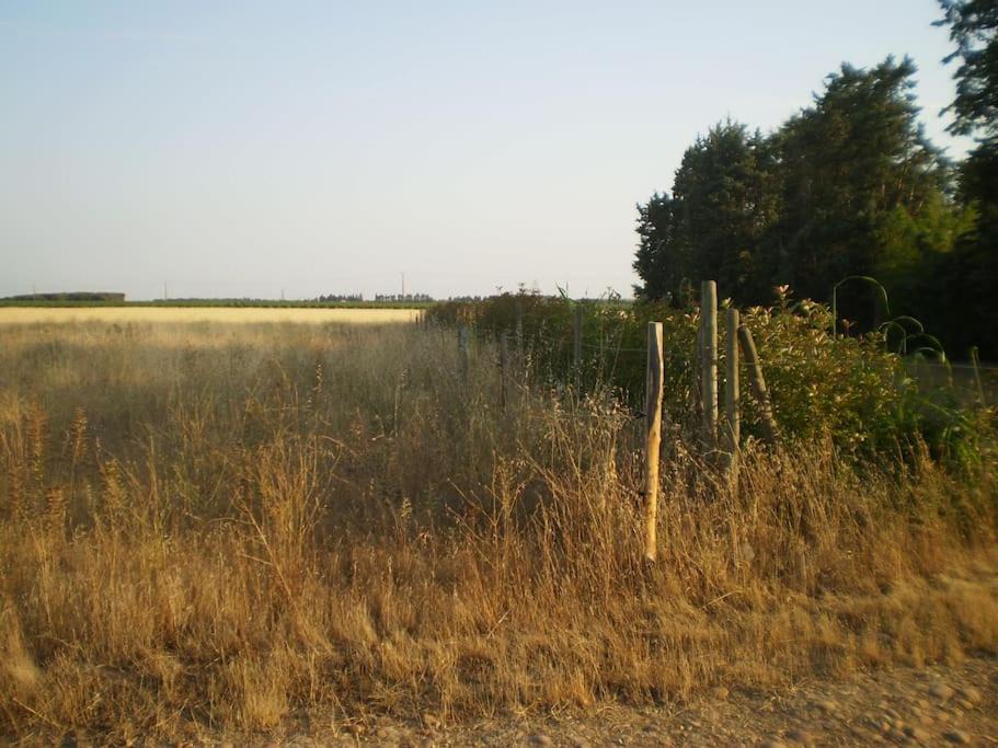 Photo of Outdoor in Meynes