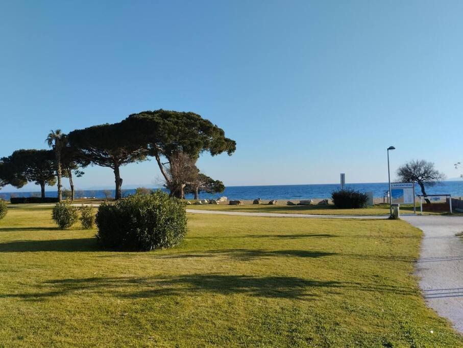 Photo of Outdoor in Miramar