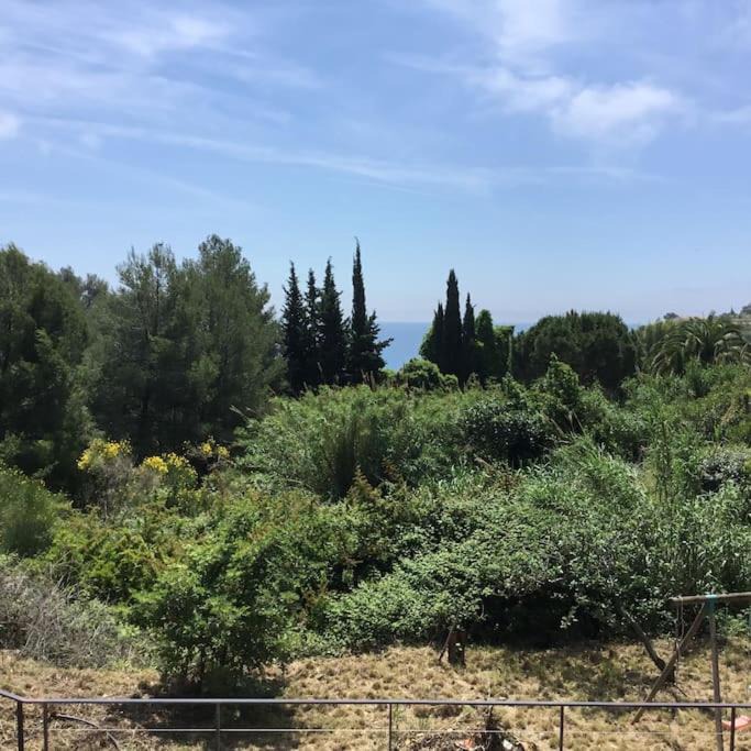 Photo of Outdoor in Carqueiranne